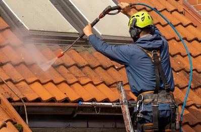 Démoussage et hydrofuge de toiture à Fornex